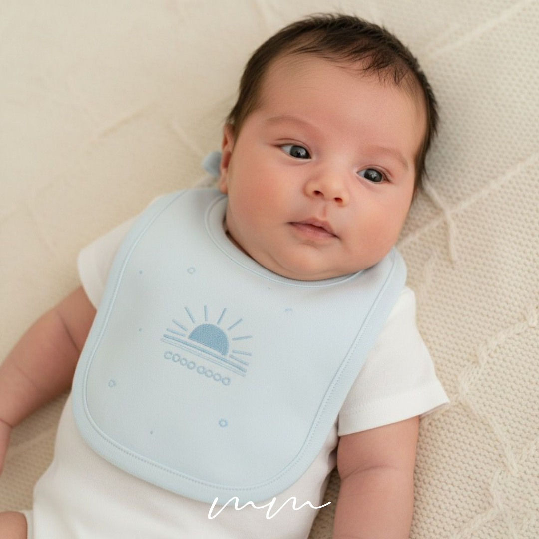 Soft Bunny Dreams Bib Set